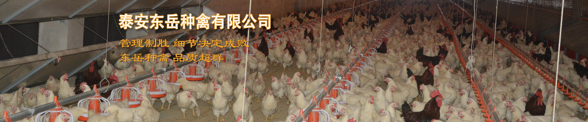 智能節(jié)拍流水線